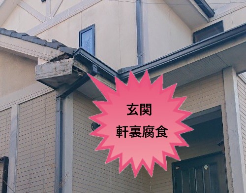 玄関軒裏　腐食　腐朽菌